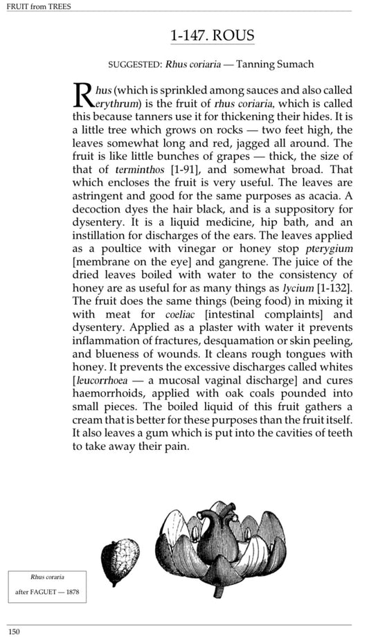 What the Ancients Said About Sumac